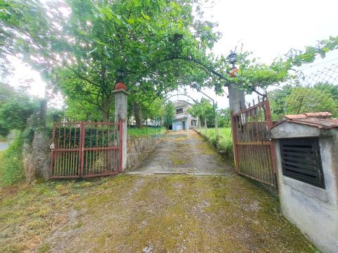 Finca