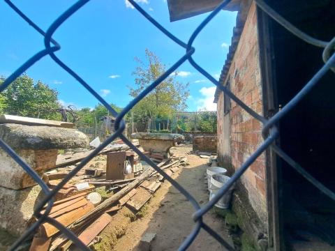 Finca
