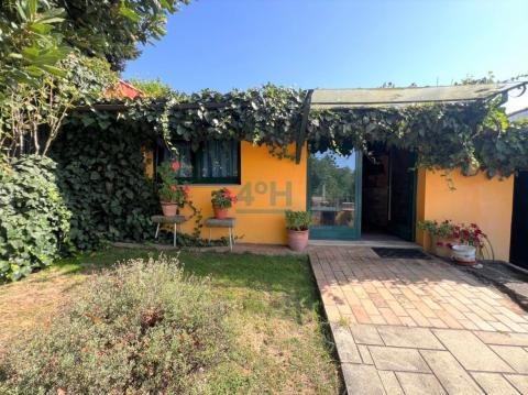 Finca: zona de merendero con chimenea de leña