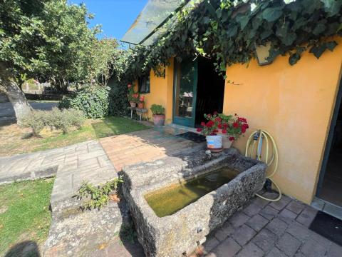 Finca: zona de merendero con chimenea de leña
