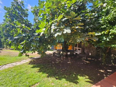 Finca: Zona de barbacoa