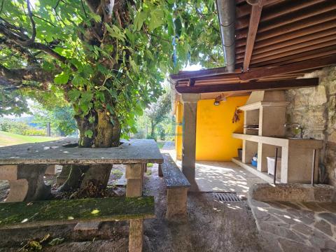 Finca: Zona de barbacoa
