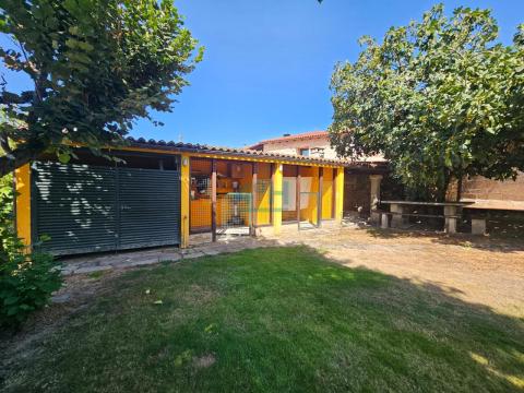 Finca: Zona de gallinero