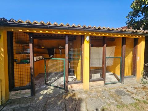 Finca: Gallinero