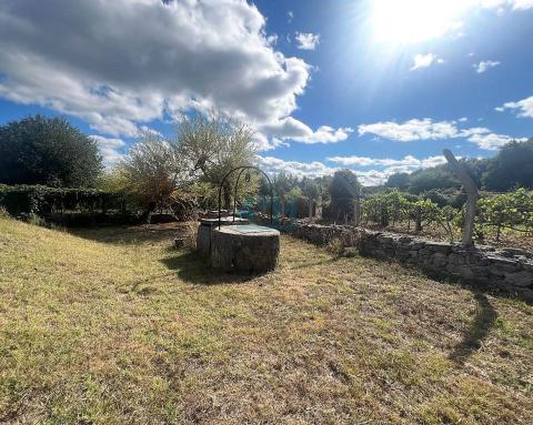 Finca