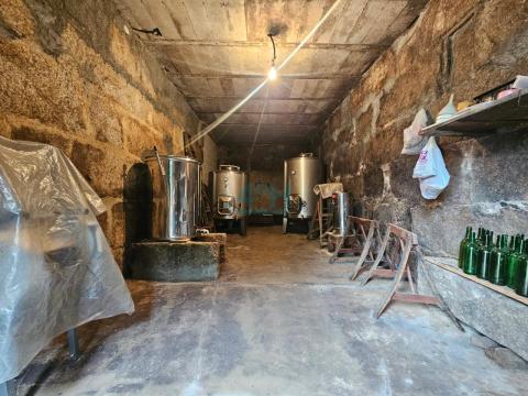 Bodega
