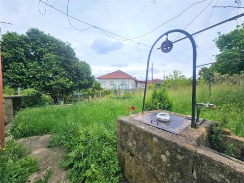 Finca