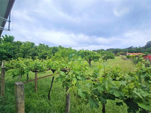 Finca