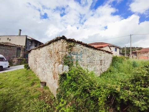 Palleira