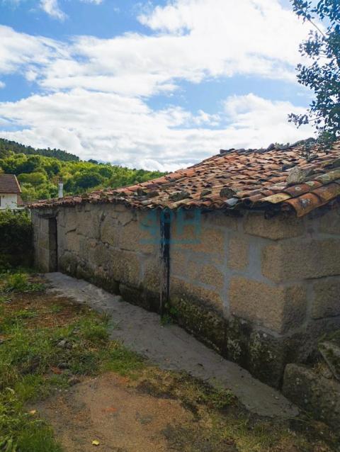 Palleira