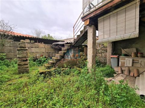 Jardín trasero
